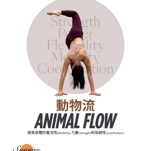 Animal Flow