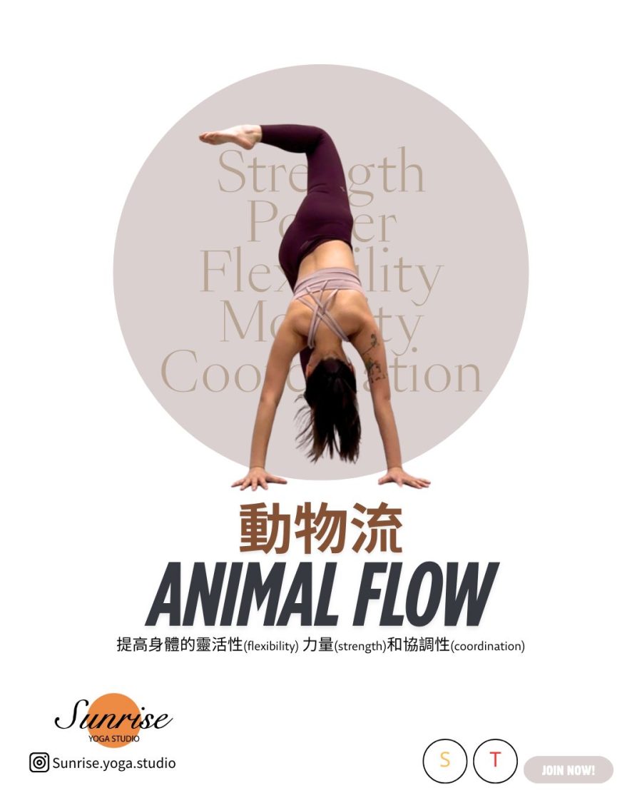 Animal Flow